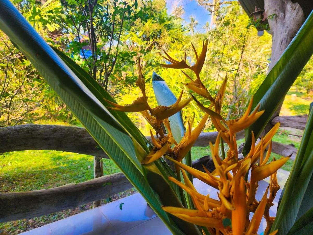 Banmae Resort Kohchang 象岛 外观 照片